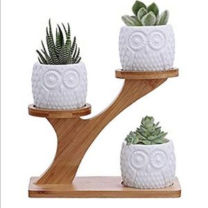 Owl succulent stand